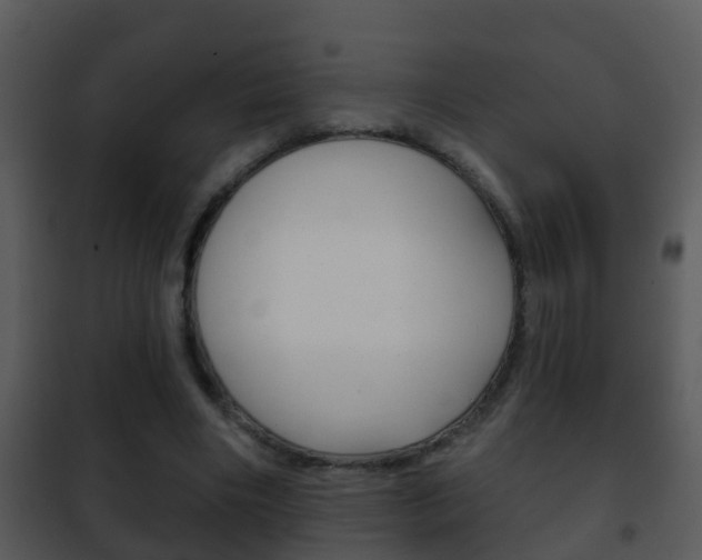 X0000101970490200807180730