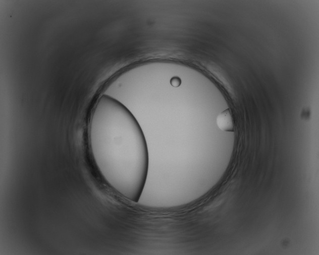 X0000101970491200807180730