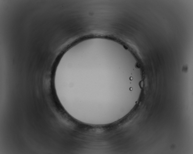 X0000101970492200807180730