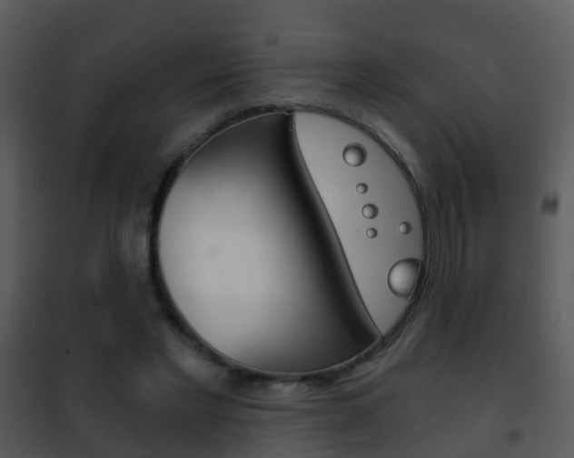 X0000101970493200807180730