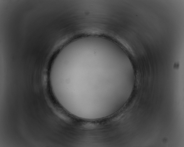 X0000101970494200807180730
