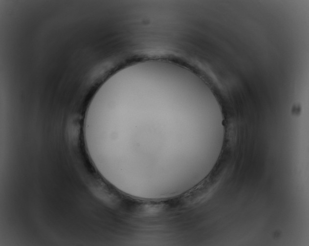 X0000101970495200807180730