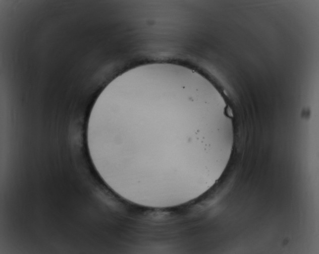 X0000101970497200807180730