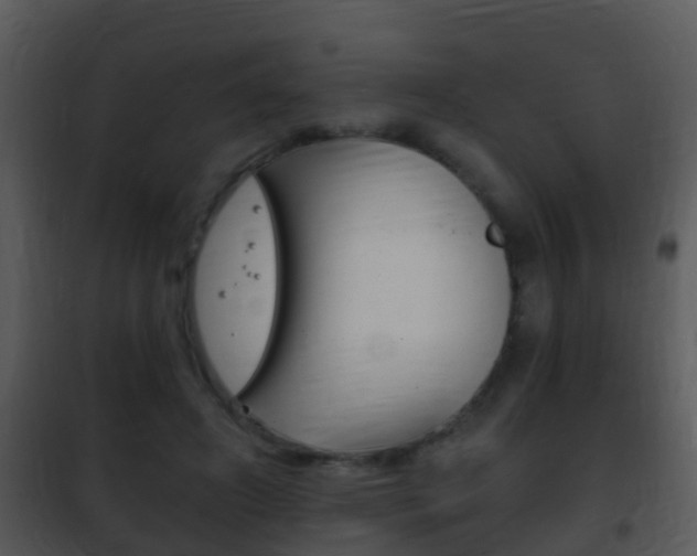 X0000101970498200807180730