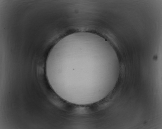 X0000101970499200807180730