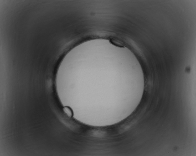 X0000101970500200807180730