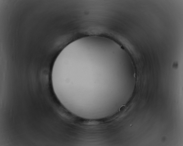 X0000101970501200807180730