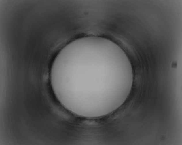 X0000101970502200807180730
