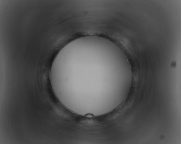 X0000101970503200807180730