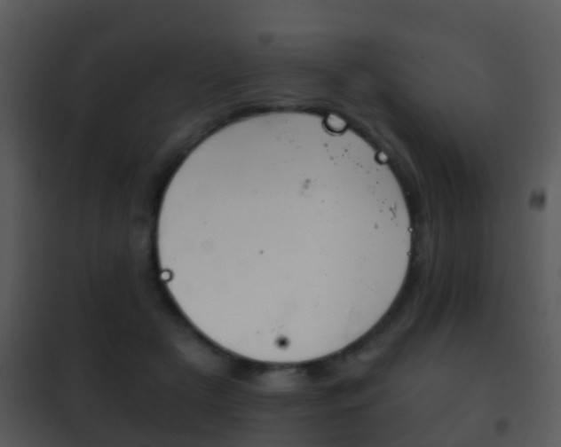 X0000101970505200807180730