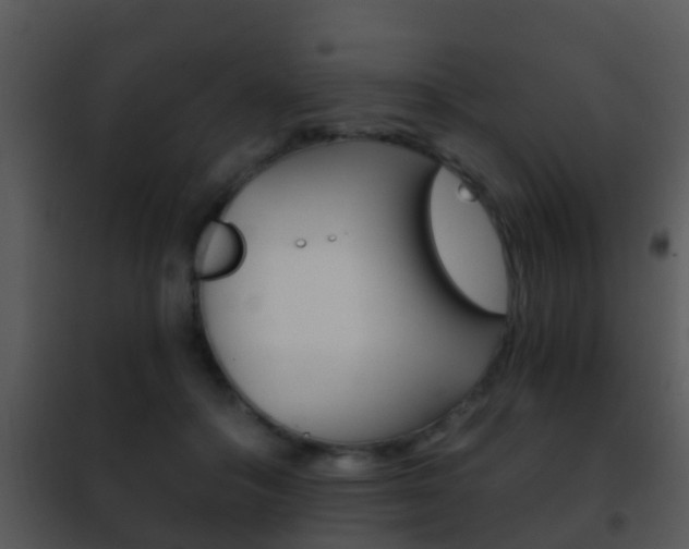 X0000101970506200807180730