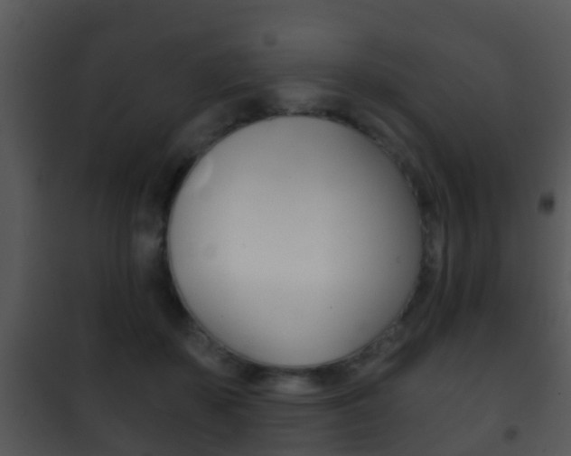 X0000101970507200807180730