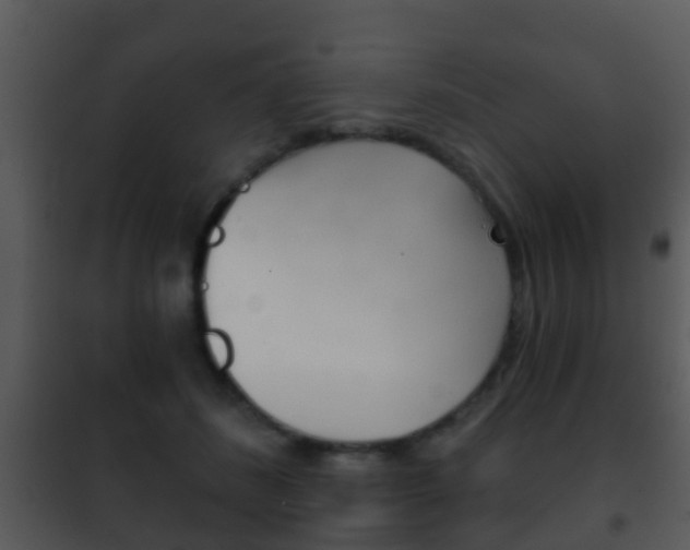 X0000101970508200807180730