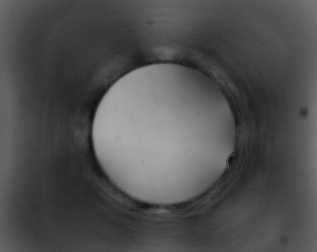 X0000101970509200807180730