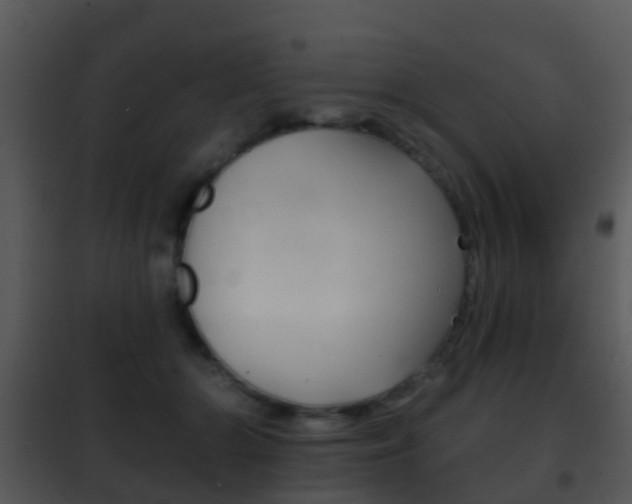 X0000101970510200807180730