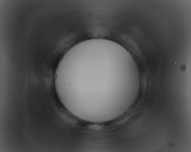 X0000101970511200807180730