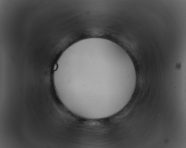 X0000101970512200807180729