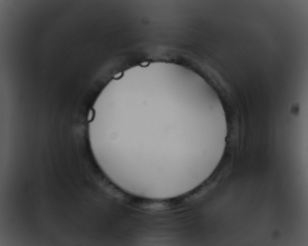 X0000101970513200807180729