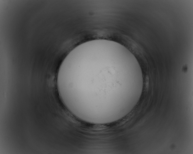 X0000101970514200807180729