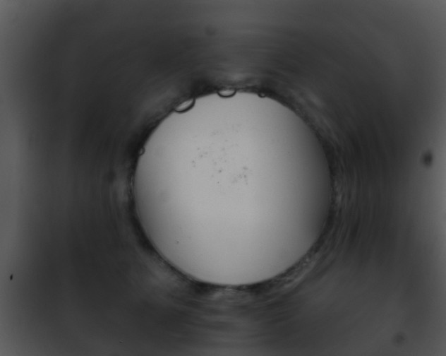 X0000101970515200807180729