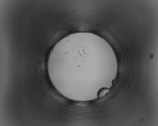 X0000101970516200807180729