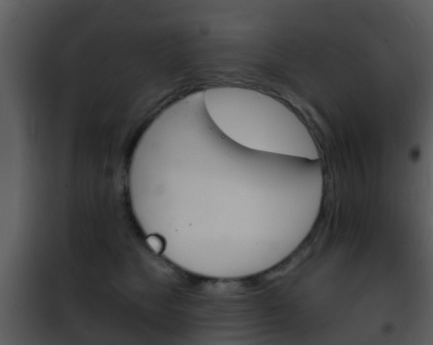 X0000101970517200807180729