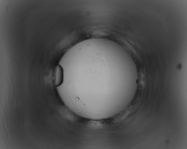 X0000101970519200807180729