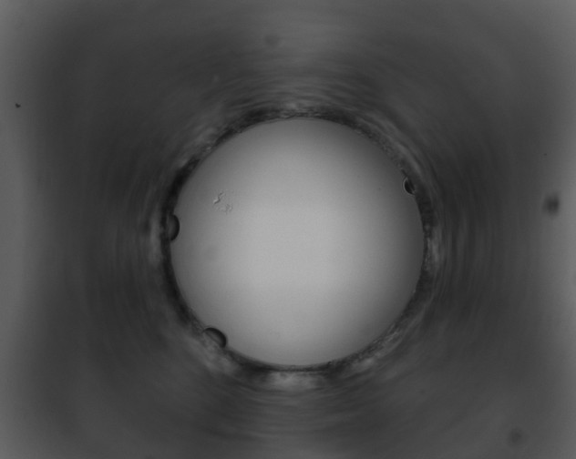 X0000101970520200807180729