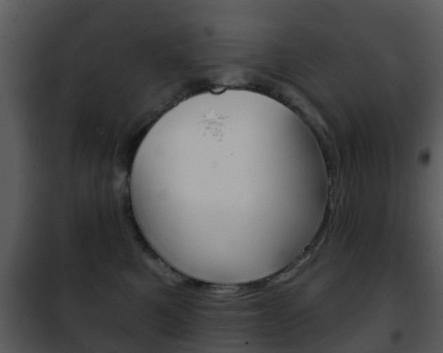 X0000101970521200807180729