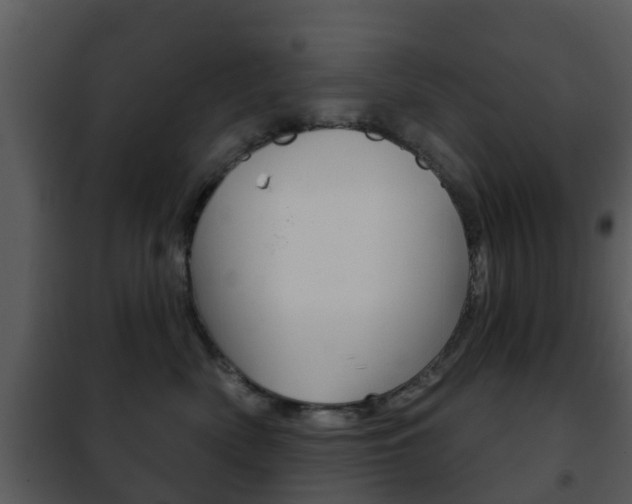 X0000101970522200807180729