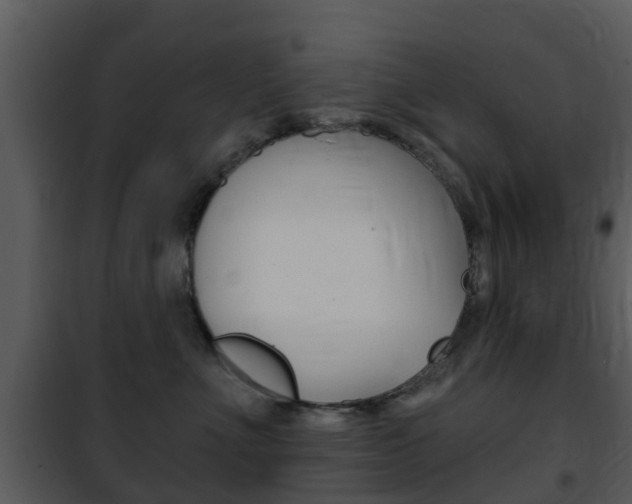 X0000101970523200807180729