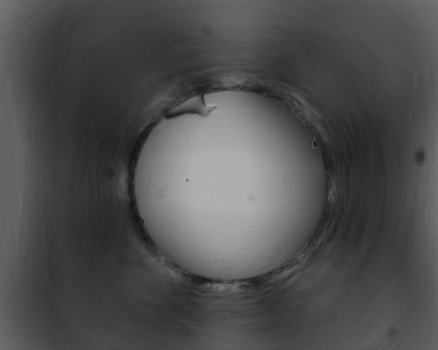 X0000101970524200807180729