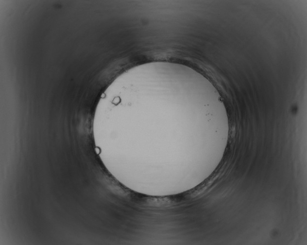 X0000101970525200807180729