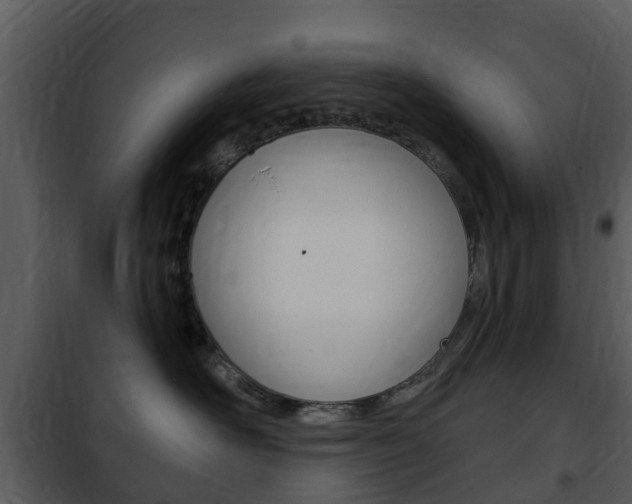 X0000101970526200807180729