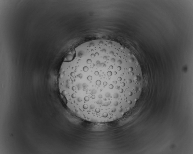 X0000101970527200807180729