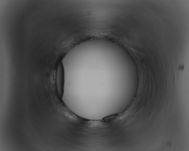 X0000101970528200807180729