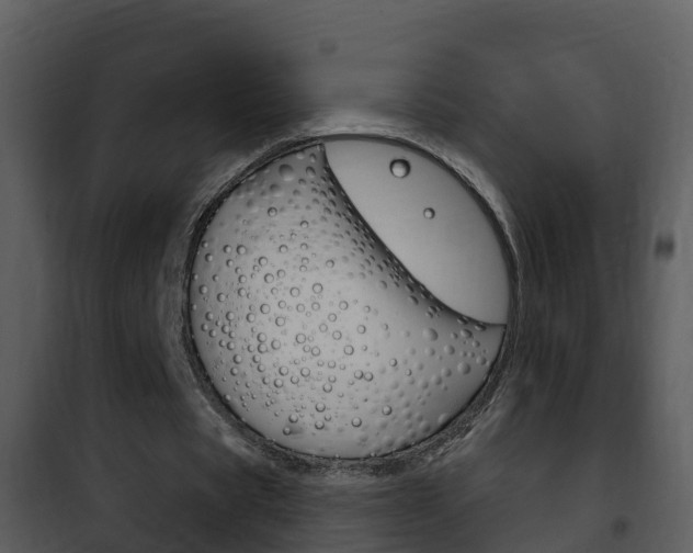 X0000101970529200807180729