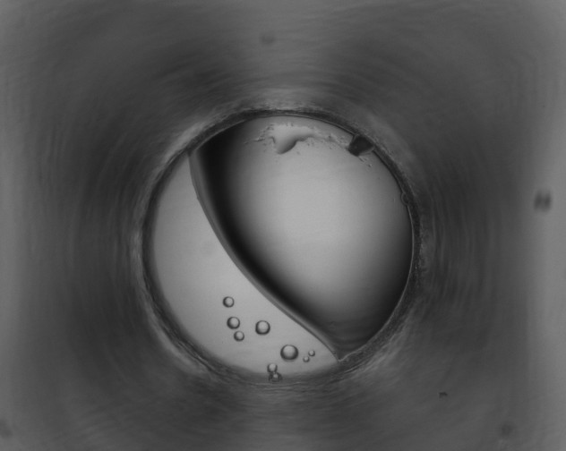 X0000101970530200807180729
