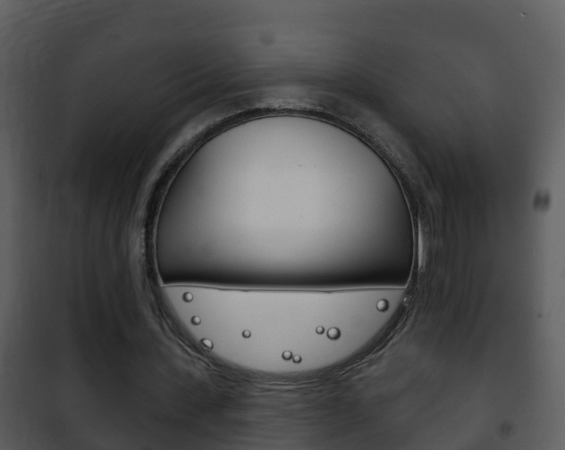 X0000101970531200807180729