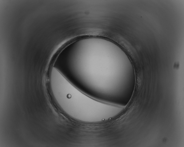 X0000101970532200807180729