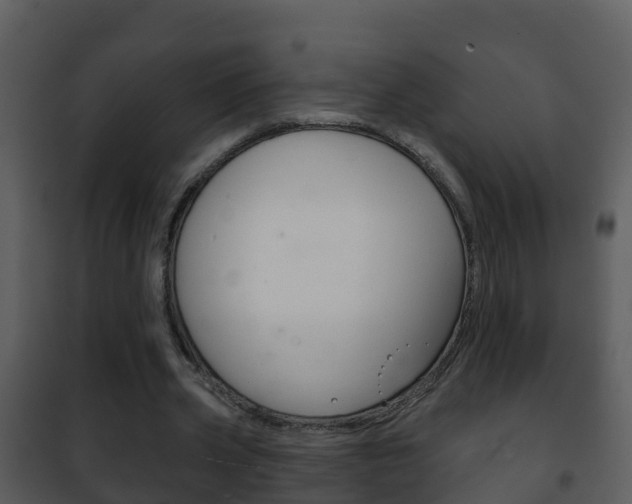 X0000101970533200807180729