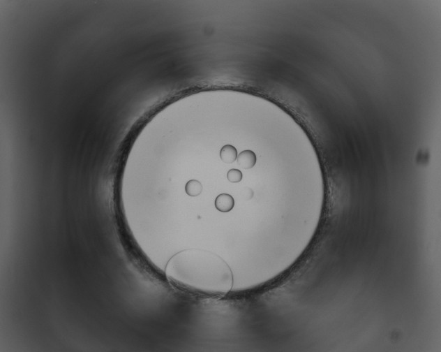 X0000101970534200807180729
