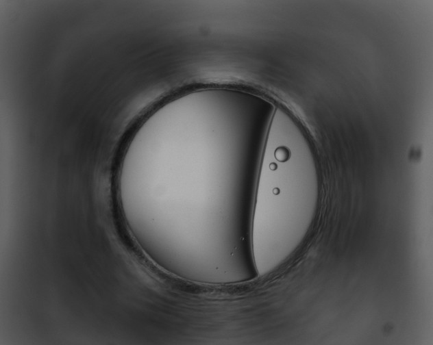 X0000101970535200807180729