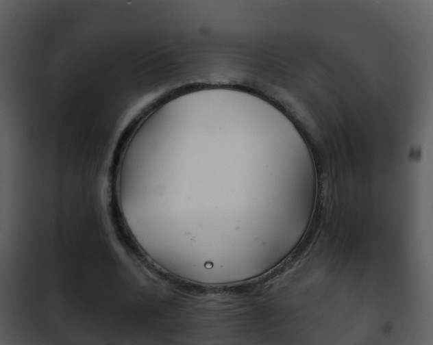 X0000101970536200807180729