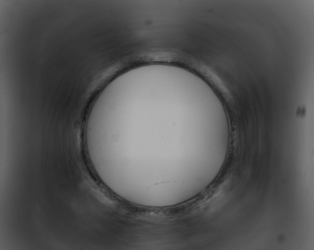 X0000101970537200807180729