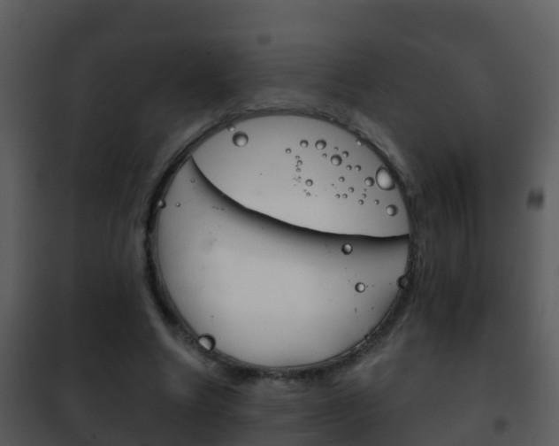 X0000101970538200807180729