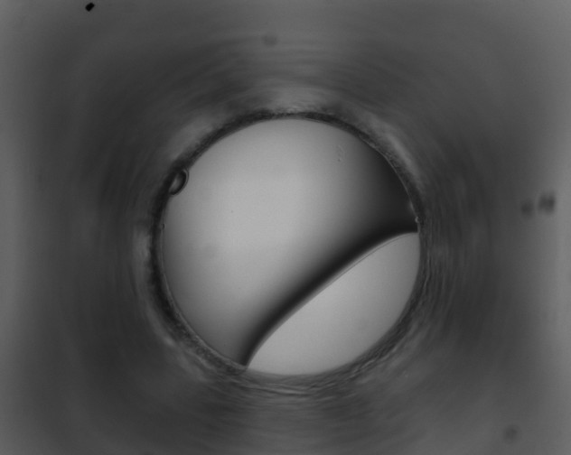 X0000101970539200807180729