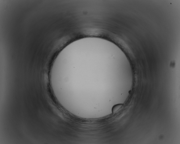 X0000101970541200807180729
