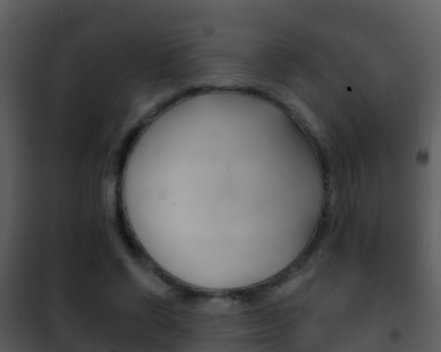 X0000101970542200807180729