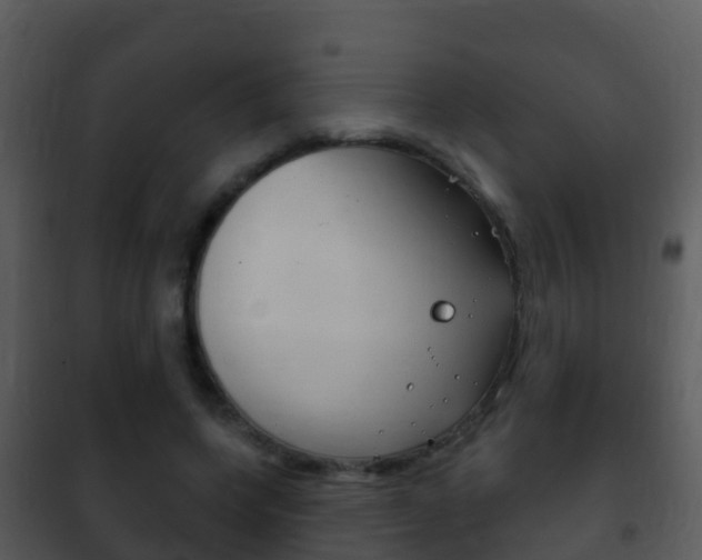 X0000101970543200807180729